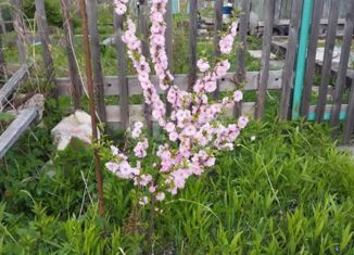 Продам дом, 24 м2, Комсомольск-на-Амуре