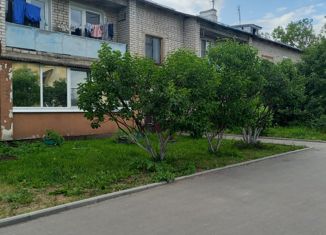 Продается двухкомнатная квартира, 45 м2, село Озёрный, Садовая улица, 66