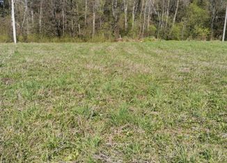 Продам земельный участок, 15 сот., деревня Совьяки, Центральная улица, 31