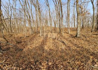 Продаю участок, 8.7 сот., село Береговое, Школьная улица