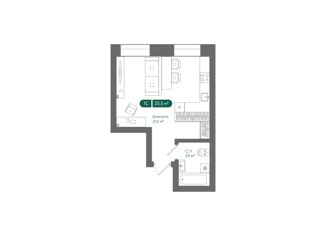 1-ком. квартира на продажу, 25.25 м2, Новосибирск, Рубежная улица, 60, метро Студенческая