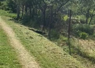 Дом на продажу, 18 м2, СНТ Гея, СНТ Гея, 86