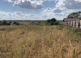 Продается участок, 18 сот., село Алеканово, Центральная улица, 48