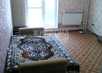 Сдается однокомнатная квартира, 19 м2, Новосибирск, Березовая улица, 19, Березовая улица