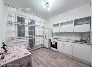 Сдается 1-комнатная квартира, 37 м2, Санкт-Петербург, Чарушинская улица, 10, Красногвардейский район