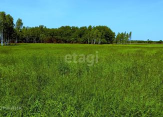 Продажа участка, 10 сот., поселок Воробьевский, Центральная улица, 81