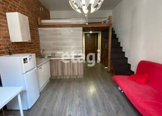 Продается квартира студия, 23.4 м2, Санкт-Петербург, Дмитровский переулок, 6, Дмитровский переулок