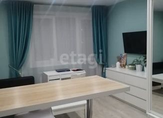 Продается квартира студия, 30.5 м2, Новосибирск, улица Мясниковой, 6/1, улица Мясниковой