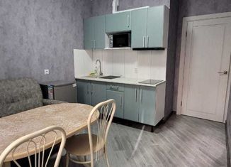 1-комнатная квартира на продажу, 33 м2, Краснодар, улица Евгении Жигуленко, 13к2
