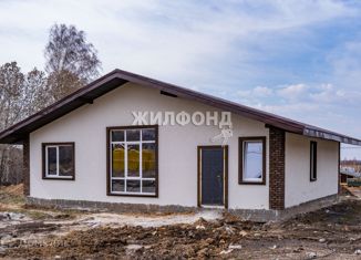 Продаю дом, 174 м2, село Каменка, Каменская улица