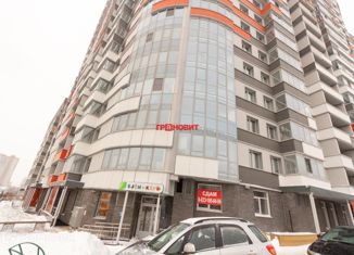 Продажа двухкомнатной квартиры, 53 м2, Новосибирск, ЖК Оазис