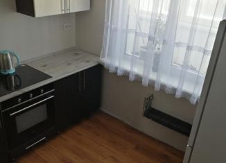 Сдаю 1-ком. квартиру, 25.4 м2, Екатеринбург, Прибалтийская улица, 31/1