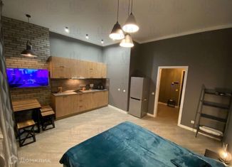 Сдам в аренду квартиру студию, 30 м2, Казань, улица Вишневского, 59Ак3, ЖК Нестеровский