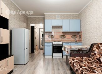 Сдаю в аренду квартиру студию, 24 м2, Ленинградская область, улица Шувалова, 22к2