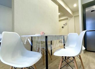 Продаю 1-комнатную квартиру, 42 м2, Кисловодск, улица Декабристов, 36/1