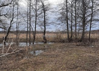 Продажа участка, 145 сот., деревня Ручьи, Коммунистическая улица