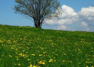 Продажа земельного участка, 22.26 сот., деревня Бугры