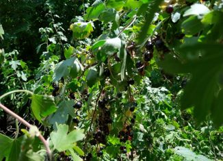 Продается дом, 51 м2, хутор Морской Чулек, Цветочный переулок, 15