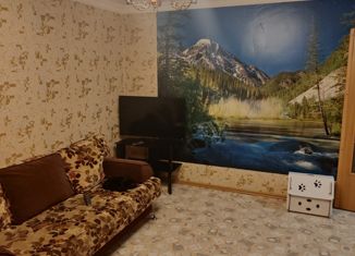 2-комнатная квартира на продажу, 50 м2, село Дружино, Советская улица, 9