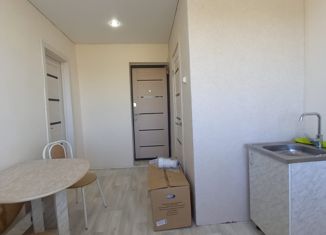 Продажа 1-комнатной квартиры, 26.7 м2, Кукмор, переулок Г. Тукая, 1