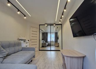 Продается двухкомнатная квартира, 39.6 м2, сельский посёлок Ситники, Центральная улица, 27