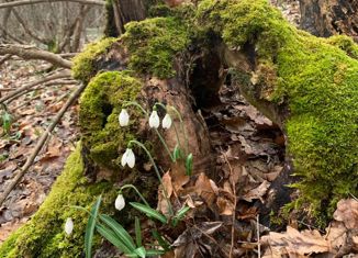 Продаю земельный участок, 5 сот., село Краснокаменка