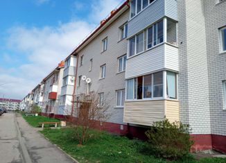 Продается двухкомнатная квартира, 55 м2, Ярославль, Житейская улица, 13, жилой район Резинотехника