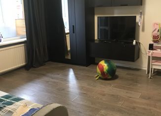 Двухкомнатная квартира на продажу, 45 м2, Санкт-Петербург, улица Академика Байкова, 17к1, улица Академика Байкова