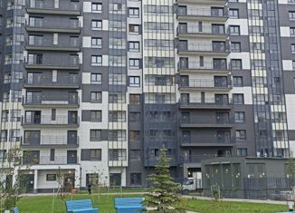 Продаю квартиру студию, 22 м2, Санкт-Петербург, Русановская улица, 24, муниципальный округ Народный