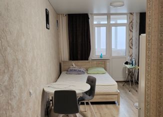 Продажа квартиры студии, 29 м2, Оренбург, ЖК Дубки, улица Неплюева, 5