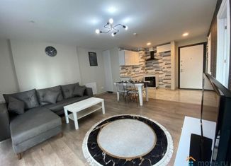 Продается квартира студия, 30.3 м2, Санкт-Петербург, улица Марата, 73, метро Звенигородская