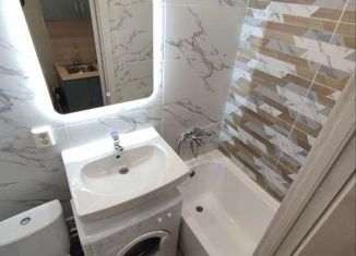 1-ком. квартира на продажу, 23.5 м2, деревня Царёво, улица Петра Гаврилова, 2