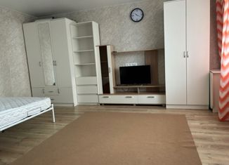 Аренда 1-ком. квартиры, 36 м2, Санкт-Петербург, улица Чудновского, 10, улица Чудновского