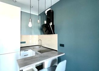 Продается квартира студия, 24 м2, деревня Кисловка, улица Левитана