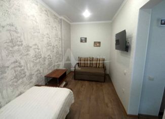 Продаю двухкомнатную квартиру, 20.4 м2, Кисловодск, улица Гагарина, 9