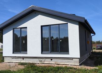 Продам дом, 60 м2, деревня Беляницы, Луговая улица