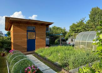 Продам дом, 50 м2, СНТ Садоводы Севера 2, Коллективная улица