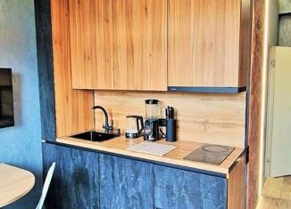 Квартира на продажу студия, 24 м2, село Орёл-Изумруд, Петрозаводская улица, 32к1