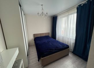 1-комнатная квартира в аренду, 29.5 м2, Ростов-на-Дону, ЖК Платовский, улица Теряева, 8