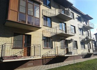 Продаю 2-комнатную квартиру, 58 м2, село Новобессергеневка, улица А.С. Куликова, 4к3