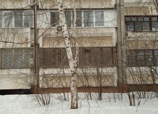 Продается однокомнатная квартира, 39 м2, Нижний Новгород, Пролетарская улица, 6, микрорайон Мещерское Озеро-4
