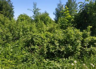 Продаю участок, 13 сот., поселок городского типа Максатиха, Кооперативная улица, 22