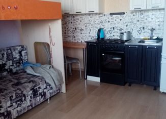 Продажа квартиры студии, 24.2 м2, Челябинск, 2-я Эльтонская улица, 69, Тракторозаводский район