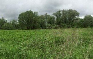 Продажа участка, 15 сот., деревня Новая Слобода, деревня Новая Слобода, 55