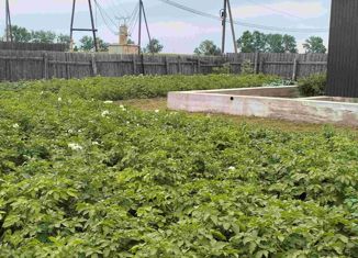 Дом на продажу, 37.6 м2, село Кабанск, Центральная площадь