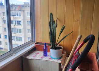 Продам 3-ком. квартиру, 58.1 м2, Краснокаменск, 2-й микрорайон, 253