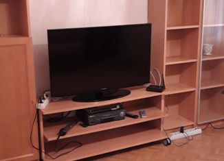 Сдается в аренду однокомнатная квартира, 38 м2, Ленинградская область, Парковая улица, 56