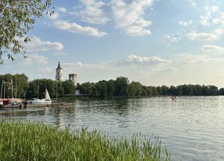 Продается квартира студия, 20 м2, Москва, Салтыковская улица, 6/1к6, Салтыковская улица