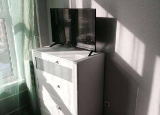 Сдам в аренду квартиру студию, 24 м2, Мурино, улица Шоссе в Лаврики, 63, ЖК Муринское-1