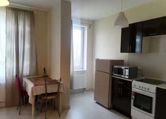 Продам квартиру студию, 28 м2, деревня Анкудиновка, Русская улица, 4